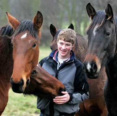 William Whitaker with some of the young horses at the yard of his uncle, Michael Whitaker