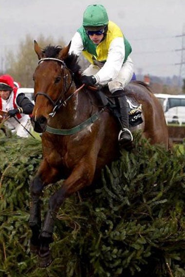 Hedgehunter, winner in 2005 and runner-up last year, will be joint top weight in this years National