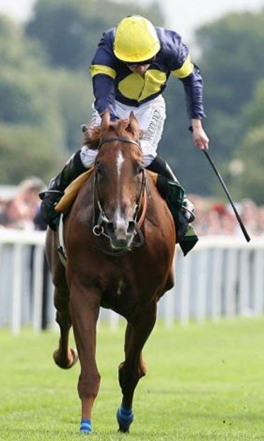 Notnowcato wins the Juddmonte International Stakes at York