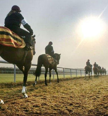 O'Brien has trained a procession of champions at Ballydoyle