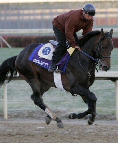 The favourite for the Classic, on track at Churchill Downs