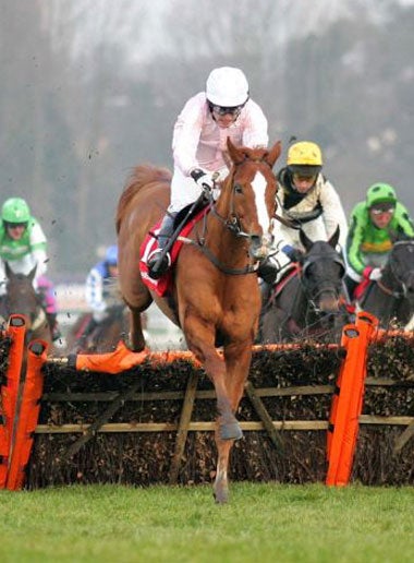 Martin Pipe trained Desert Air won the Ladbroke Hurdle