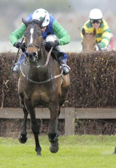 Timmy Murphy and Celestial Gold on their way to victory