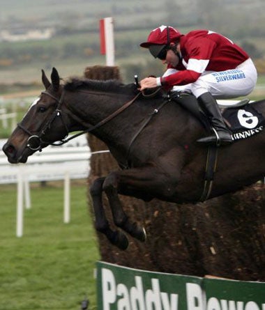 Connor O'Dwyer rides War of Attrition to victory in the Punchestown Guinness Gold Cup