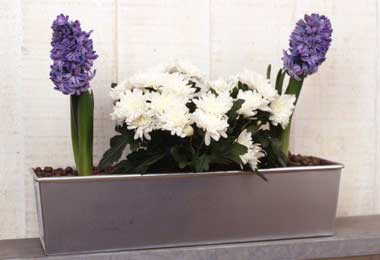 Bread tin window box