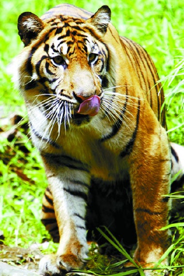 Save protected species