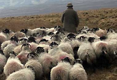 Take agriculture and help make the world a better place