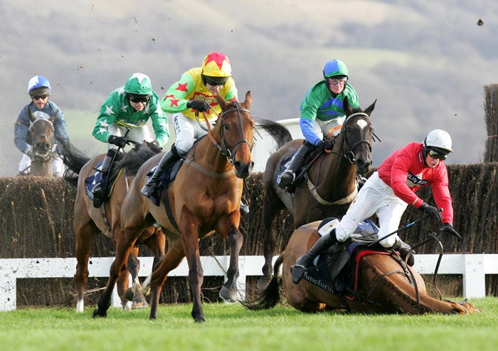 Outsider Portland Bill, ridden by Daryl Jacob, falls at the fourth last