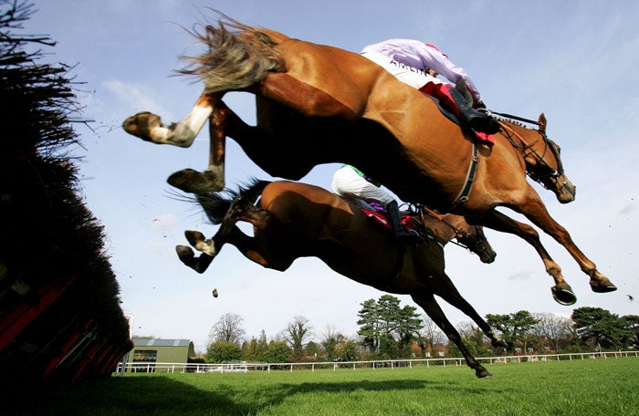 Chance Du Roy and eventual runner-up Bormo take a flight in the opening juvenile hurdle at Sandown