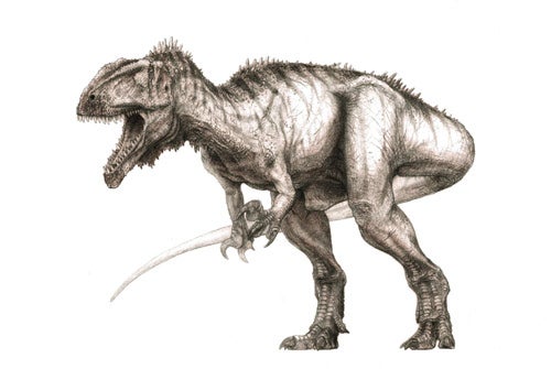 Eocarcharia dinops had blade-shaped teeth and a prominent bony eyebrow