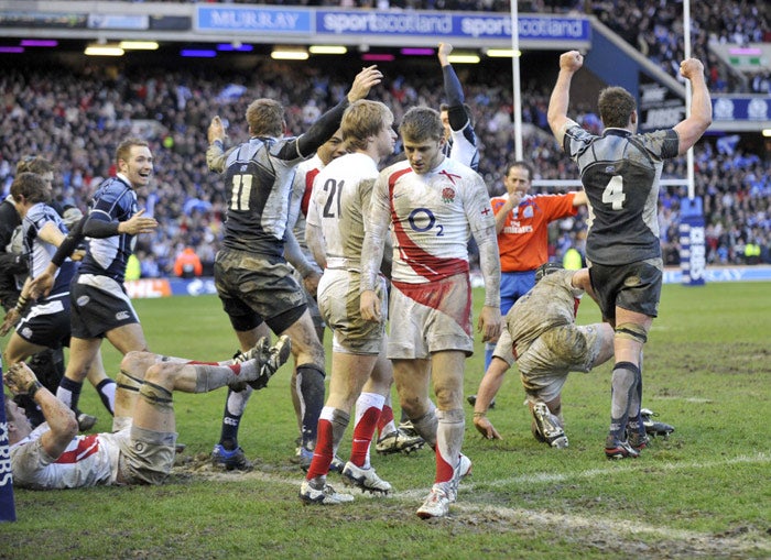 Scotland players celebrate a famous victory while Richard Wigglesworth despairs