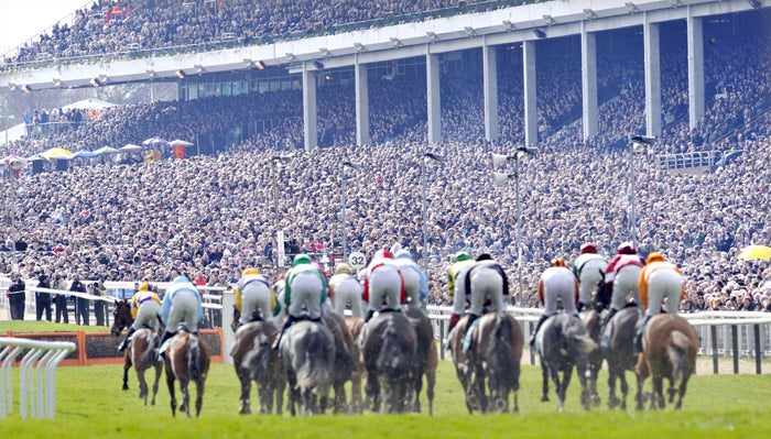 The runners in the opening race, won by Captain Cee Bee, gallop past the packed Cheltenham stands