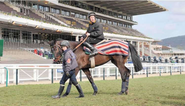 Cheltenham's empty stands echo to a lone set of hoofbeats as Champion Chase hopeful Newmill exercises on the track yesterday