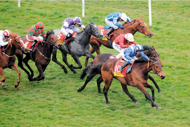 Muthabara (No 10), ridden by Richard Hills, on her way to an impressive victory in the Dubai Duty Free Stakes