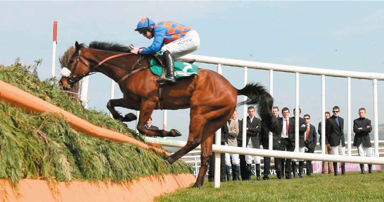 Twist Magic and Ruby Walsh get in close to a fence on their way to victory at Punchestown yesterday