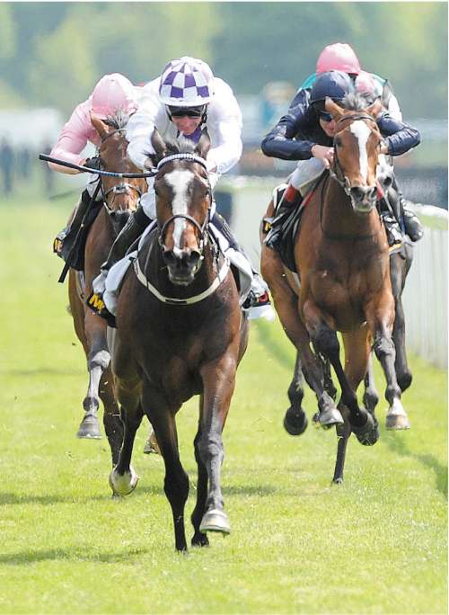 Lush Lashes is driven five lengths clear of her rivals for a comfortable victory in the Musidora Stakes at York yesterday