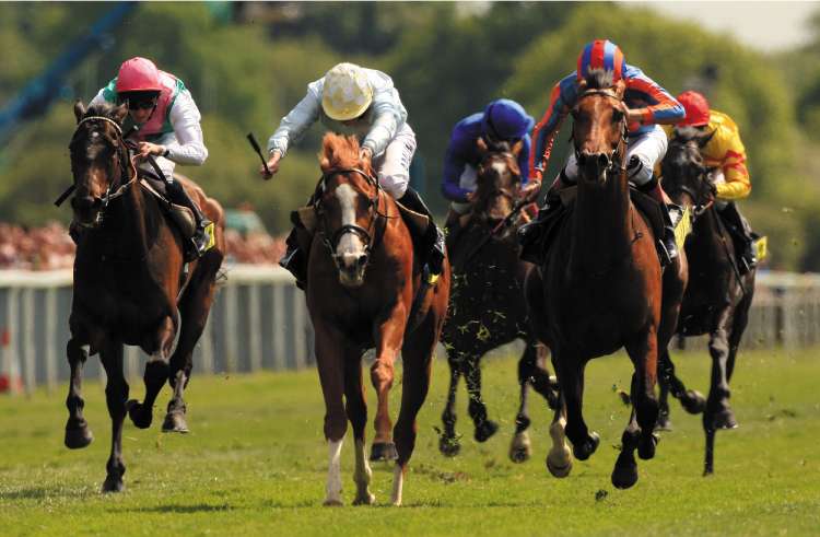Tartan Bearer (centre) strides to victory in yesterday's Dante Stakes at York, leaving Henry Cecil's Twice Over (left) and Aidan O'Brien's Frozen Fire (right) trailing