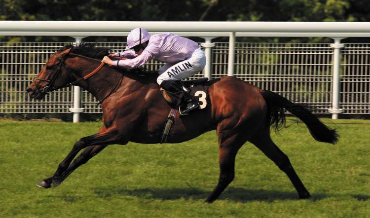 Ryan Moore and Sixties Icon land the Festival Stakes by five lengths at Goodwood yesterday