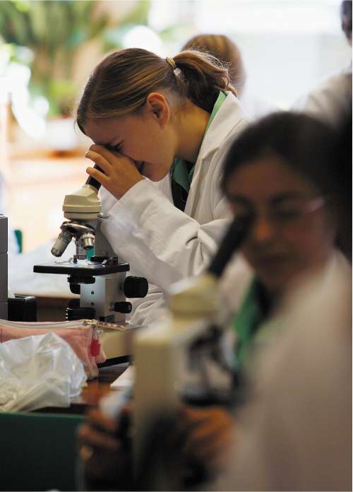 Many pupils drop science in the sixth-form