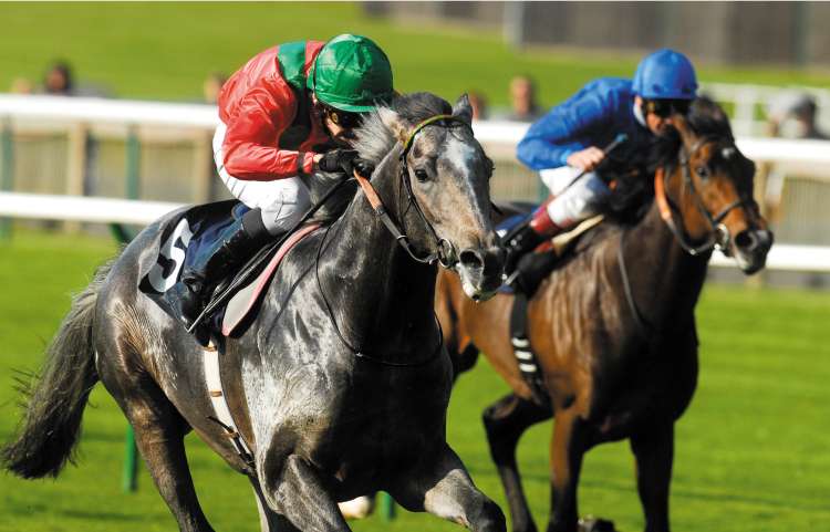 Kandahar Run(left) and his Derby jockey Ted Durcan win at Newmarket to make it three victories from five races