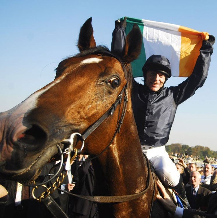 Fallon celebrates winning the Prix de L'Arc de Triomphe last year © Getty Images