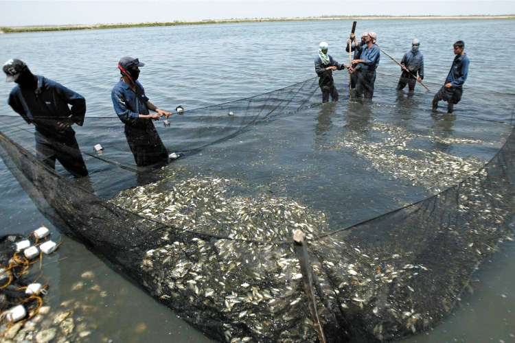 Under-reporting of fish catches was making the overall decline of fish stocks worse for some of the poorest people in the world