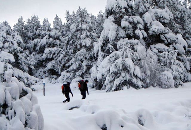 <p>Showers of snow are set to fall across the Scottish mountains on Saturday</p>