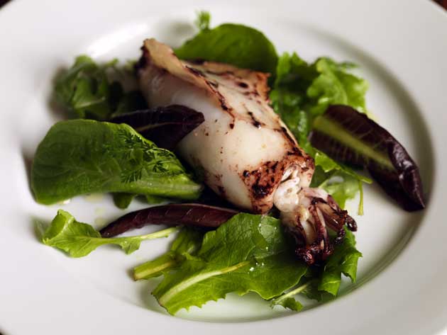 It's best to use small squid for this starter