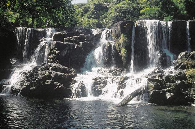 Three-quarters of those hit by job losses are planning to use the time to take a version of the traditional student gap year