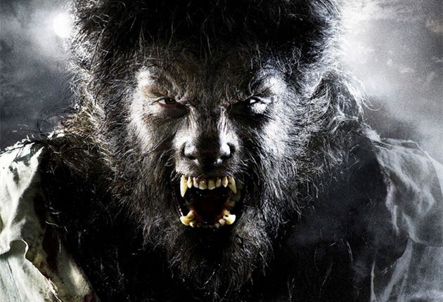 Benicio del Toro in the 'The Wolfman'