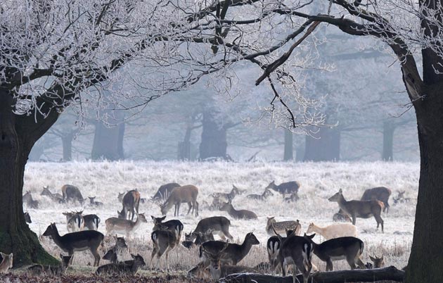 Weather across the UK will be 'varying' this week, with temperatures rising above and plunging below freezing