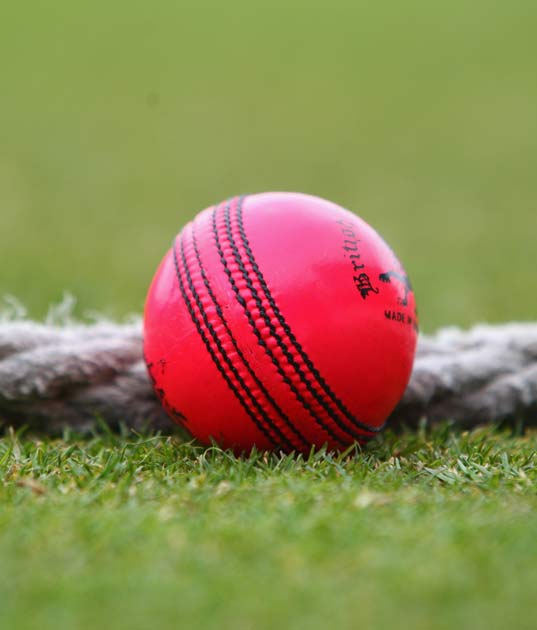 The pink ball used in day-night Tests has had a mixed reception from players