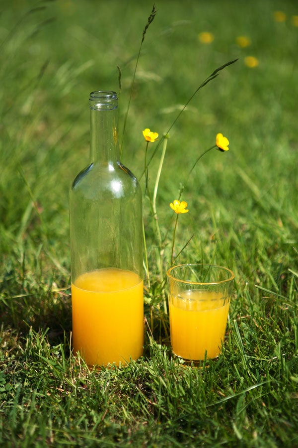 Orange with orange flower water should be served as chilled as possible