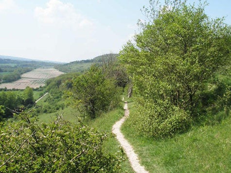 There are still surprisingly large tracts of open land in southern England