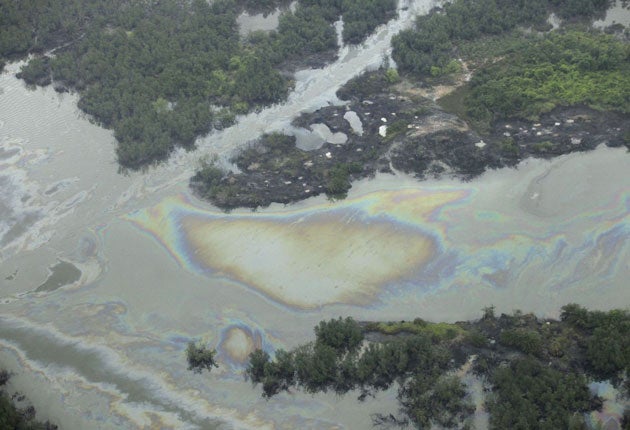 The UN report focused on the Ogoniland area of Nigeria's Niger Delta