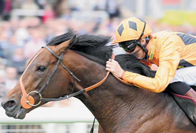 Canford Cliffs, who won five consecutive Group One races before his defeat by Frankel, was also victorious at Royal Ascot in three consecutive seasons