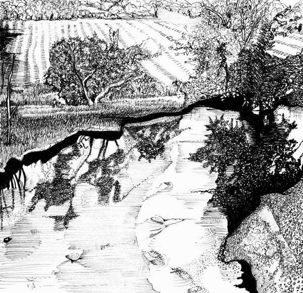 Go with the flow: fishing doesn't require high-end equipment