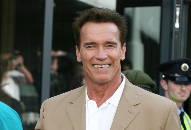 Arnold Schwarzenegger: For a scene in his film True Lies, where horses are ridden into a lift in a skyscraper, Vigilato was employed to stuff the backsides of several horses