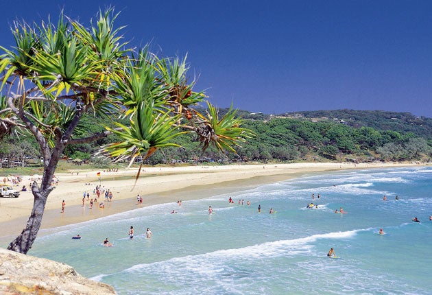 Eco-Eden: Visitors to North Stradbroke Island share the clear waters with manta rays, dolphins and humpbacked whales