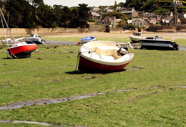 Saint-Michel-en-Greve, where part of the coastline has been declared off-limits after a horse collapsed and died