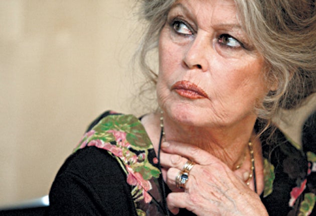 Brigitte Bardot wants the pitbull terrier 'released from hell'