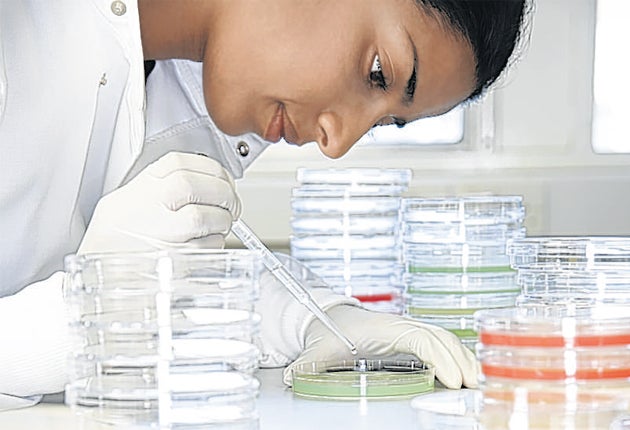 A few lucky students who missed their grades get on medicine courses