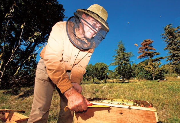 Xavier Rolet, CEO of the London Stock exchange. Bee keeping in la Verrier