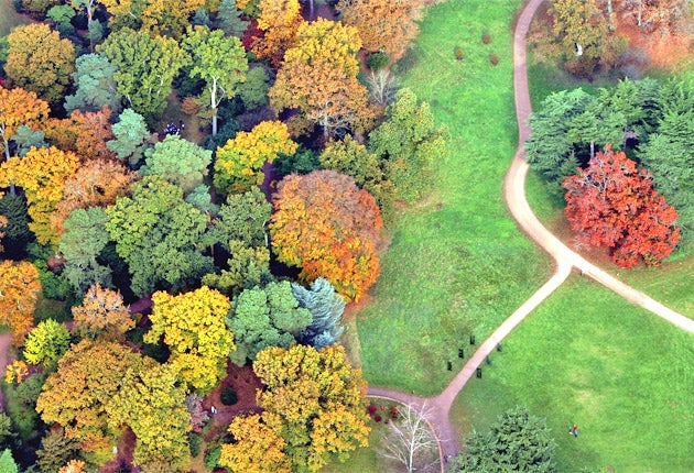 Westonbirt Arboretum, near Tetbury