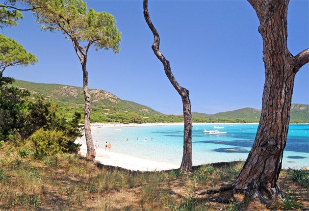 The picture-perfect Palombaggia Plage