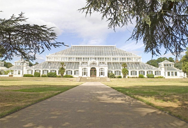 Heart of glass: the Temperate House
