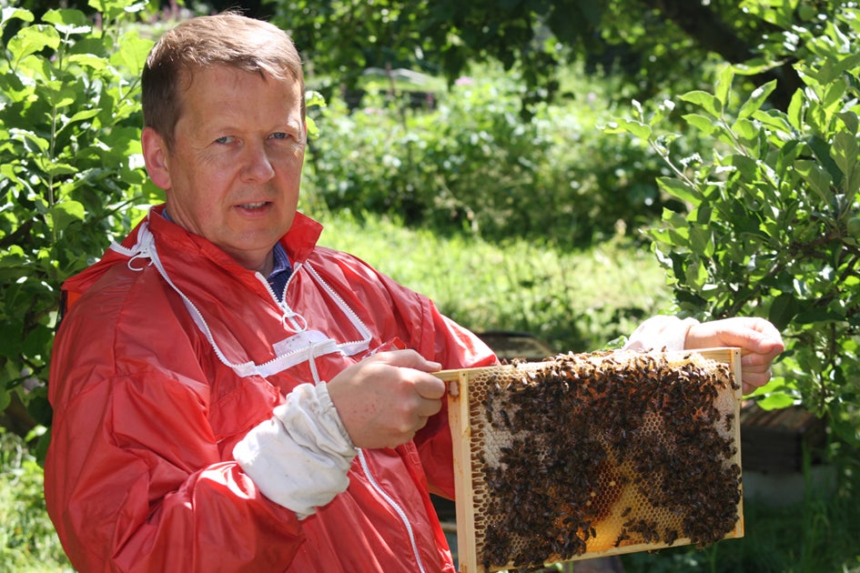 Bill Turnbull pictured at home with his bees