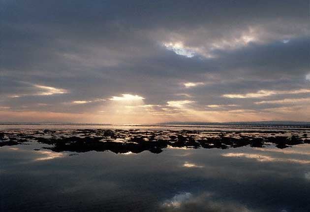The Moray Firth at Golspie