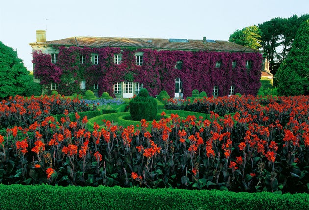 RAZZLE-DAZZLE 'Bougainvillea glabra' covers a house in Galicia, while red 'Canna indica' and blue agapnathus grow among the hedges