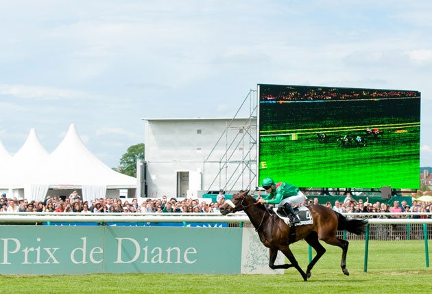 Sarafina hardened as favourite for the Arc after winning the Prix Foy at Longchamp yesterday